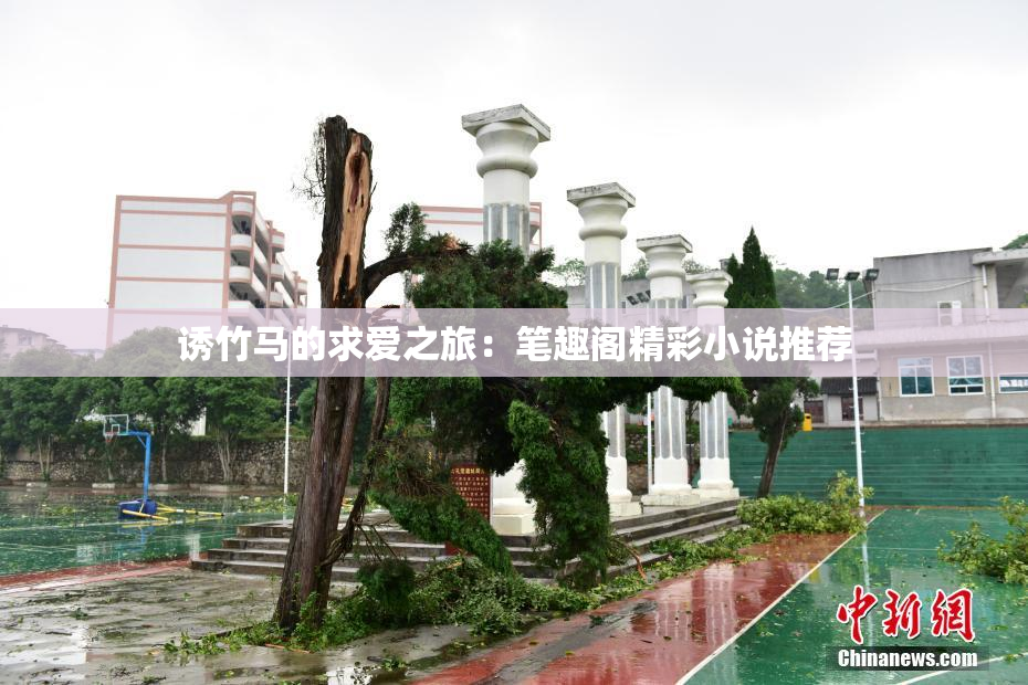 诱竹马的求爱之旅：笔趣阁精彩小说推荐