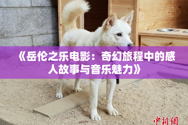 《岳伦之乐电影：奇幻旅程中的感人故事与音乐魅力》