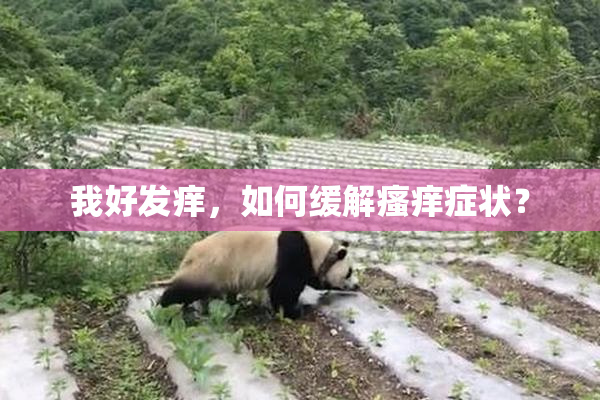 我好发痒，如何缓解瘙痒症状？
