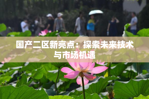 国产二区新亮点：探索未来技术与市场机遇