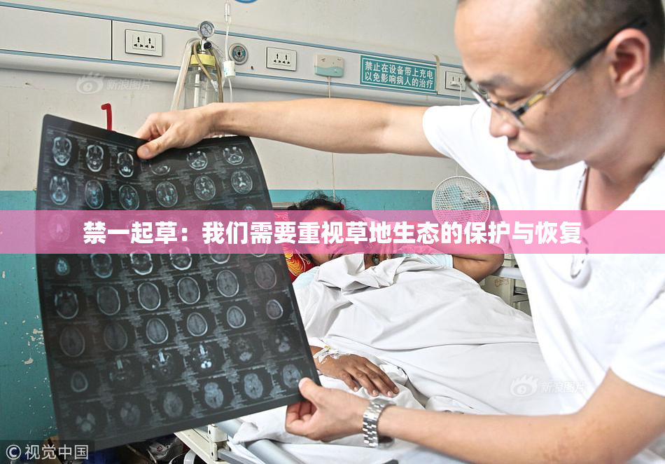 禁一起草：我们需要重视草地生态的保护与恢复