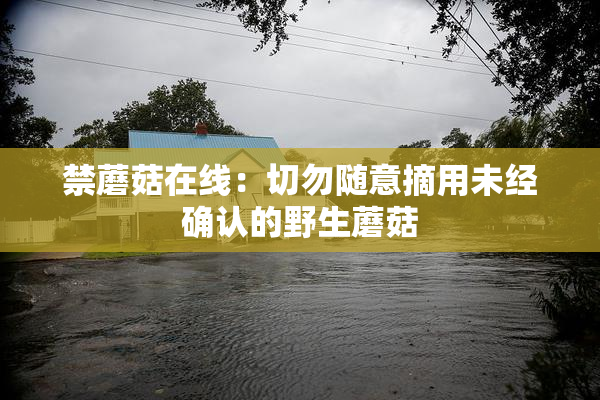 禁蘑菇在线：切勿随意摘用未经确认的野生蘑菇