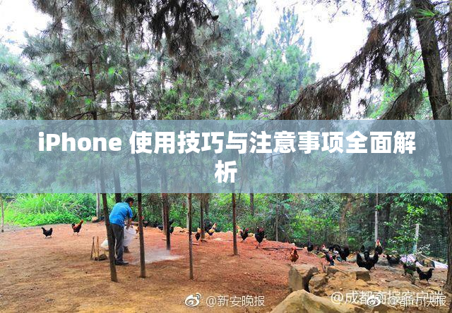 iPhone 使用技巧与注意事项全面解析