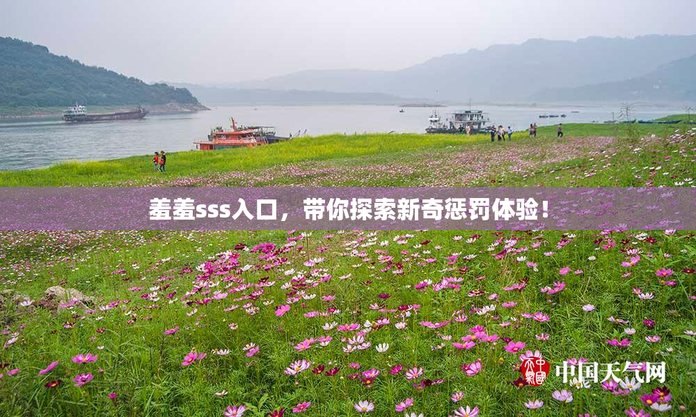 羞羞sss入口，带你探索新奇惩罚体验！