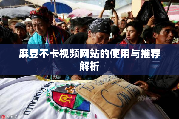 麻豆不卡视频网站的使用与推荐解析