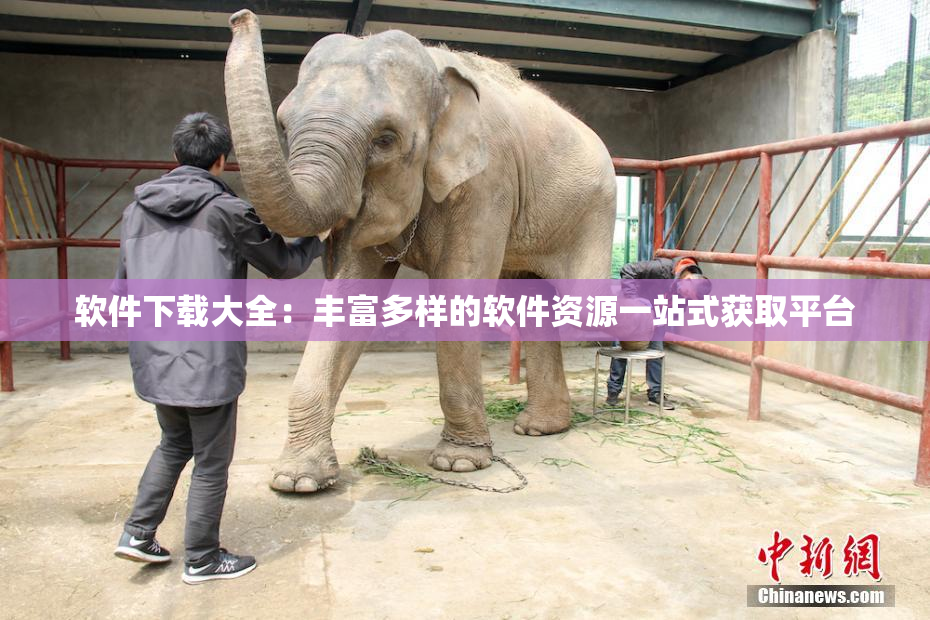 软件下载大全：丰富多样的软件资源一站式获取平台