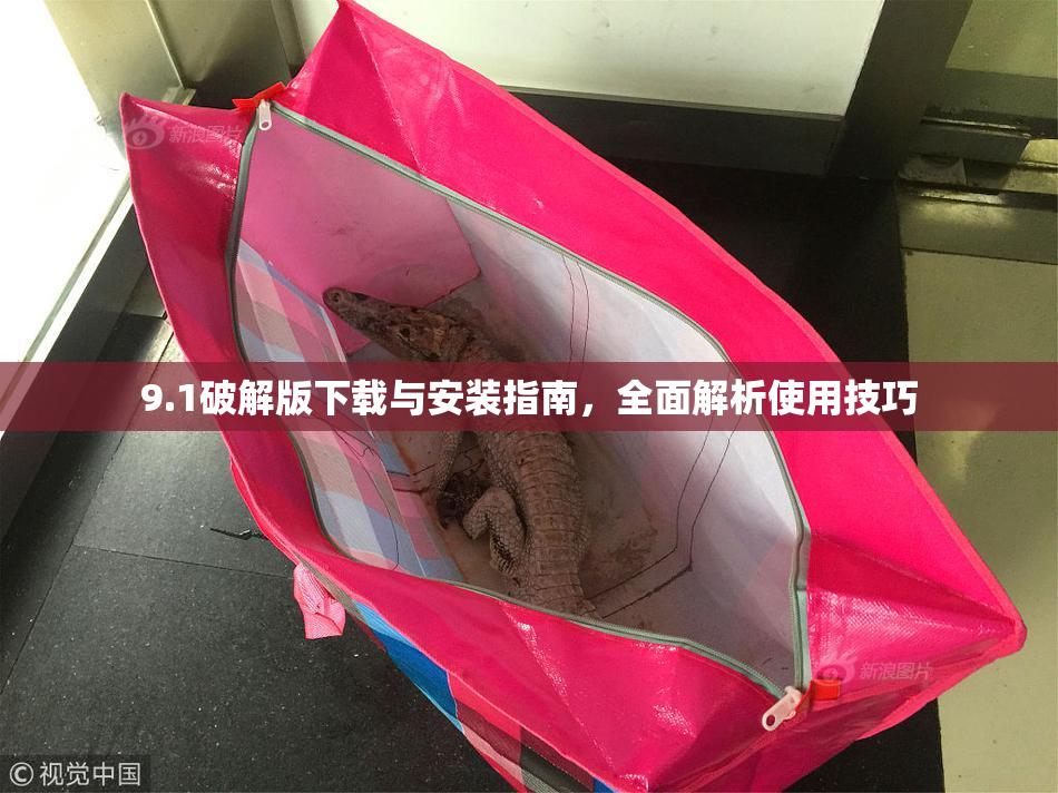 9.1破解版下载与安装指南，全面解析使用技巧