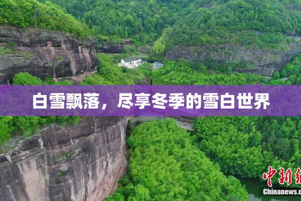 白雪飘落，尽享冬季的雪白世界