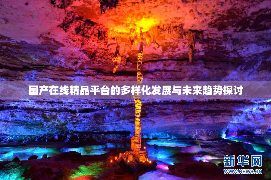 国产在线精品平台的多样化发展与未来趋势探讨