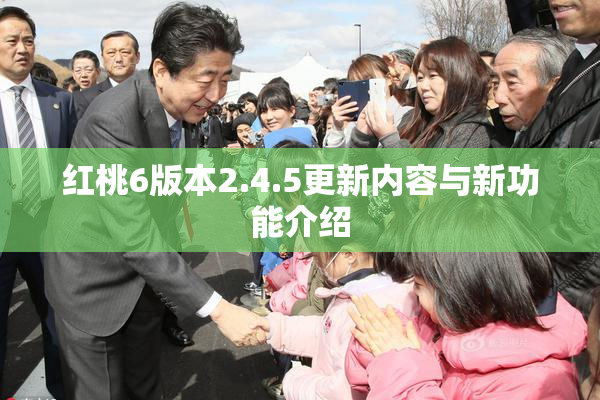 红桃6版本2.4.5更新内容与新功能介绍