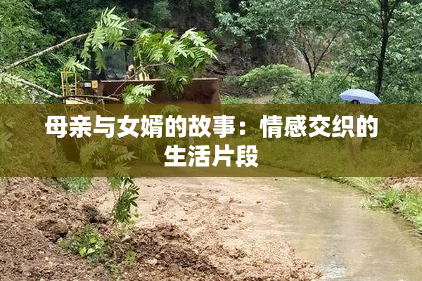 母亲与女婿的故事：情感交织的生活片段