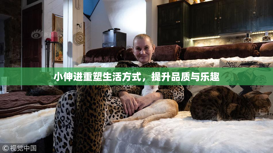 小伸进重塑生活方式，提升品质与乐趣
