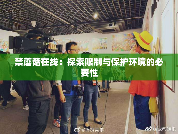 禁蘑菇在线：探索限制与保护环境的必要性