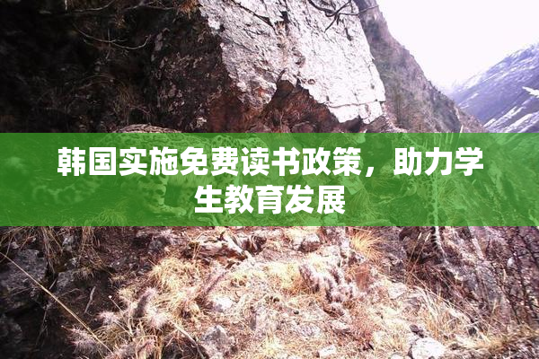 韩国实施免费读书政策，助力学生教育发展