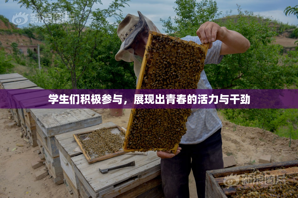 学生们积极参与，展现出青春的活力与干劲