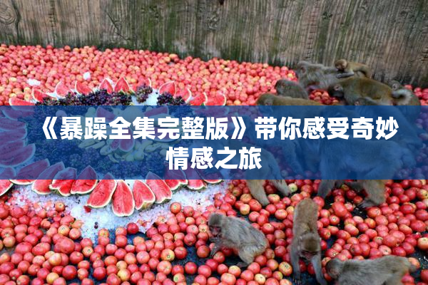 《暴躁全集完整版》带你感受奇妙情感之旅