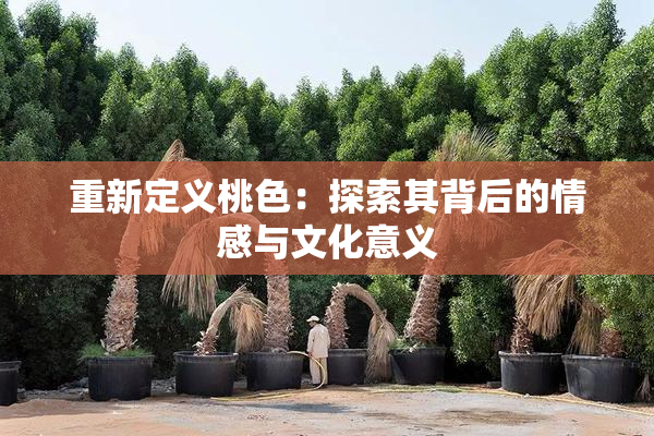 重新定义桃色：探索其背后的情感与文化意义