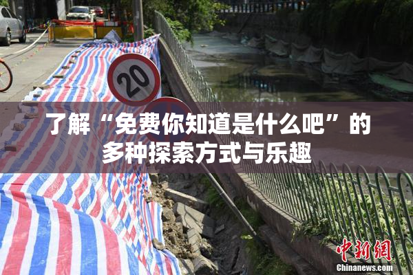 了解“免费你知道是什么吧”的多种探索方式与乐趣