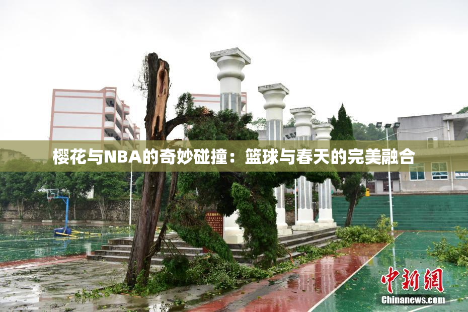 樱花与NBA的奇妙碰撞：篮球与春天的完美融合