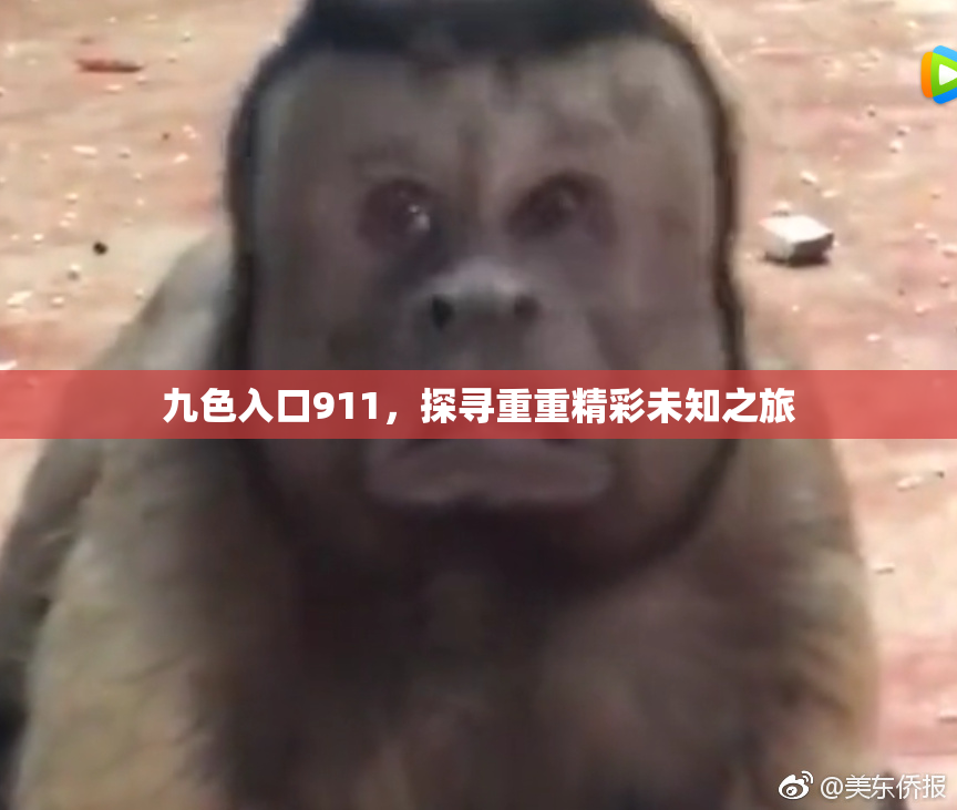 九色入口911，探寻重重精彩未知之旅