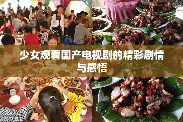 少女观看国产电视剧的精彩剧情与感悟