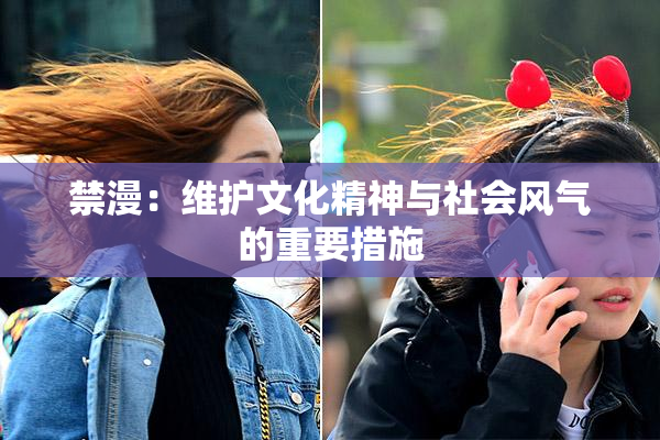 禁漫：维护文化精神与社会风气的重要措施