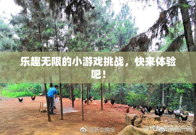 乐趣无限的小游戏挑战，快来体验吧！