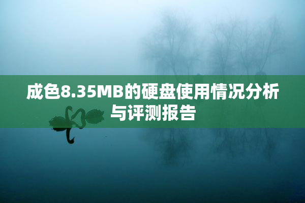 成色8.35MB的硬盘使用情况分析与评测报告