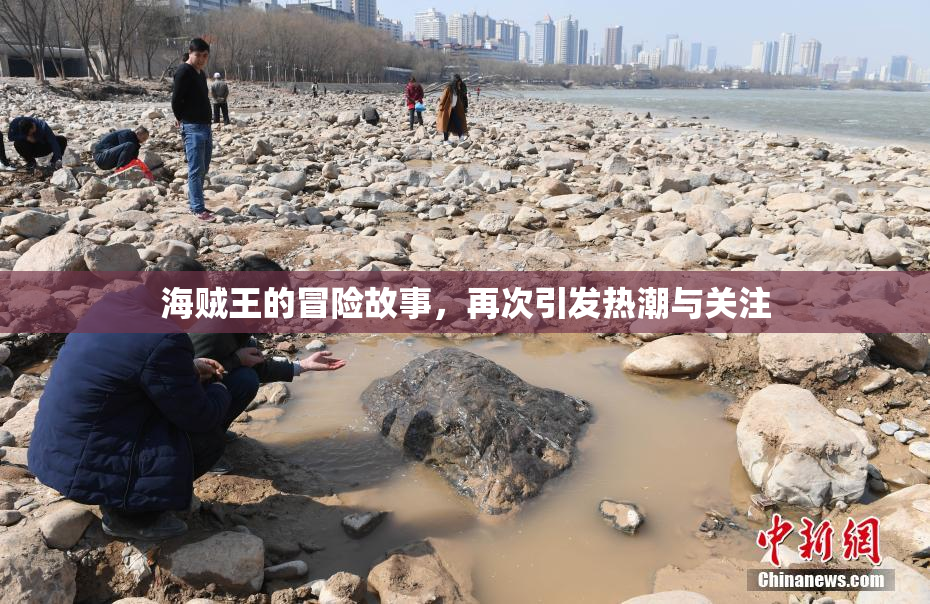 海贼王的冒险故事，再次引发热潮与关注