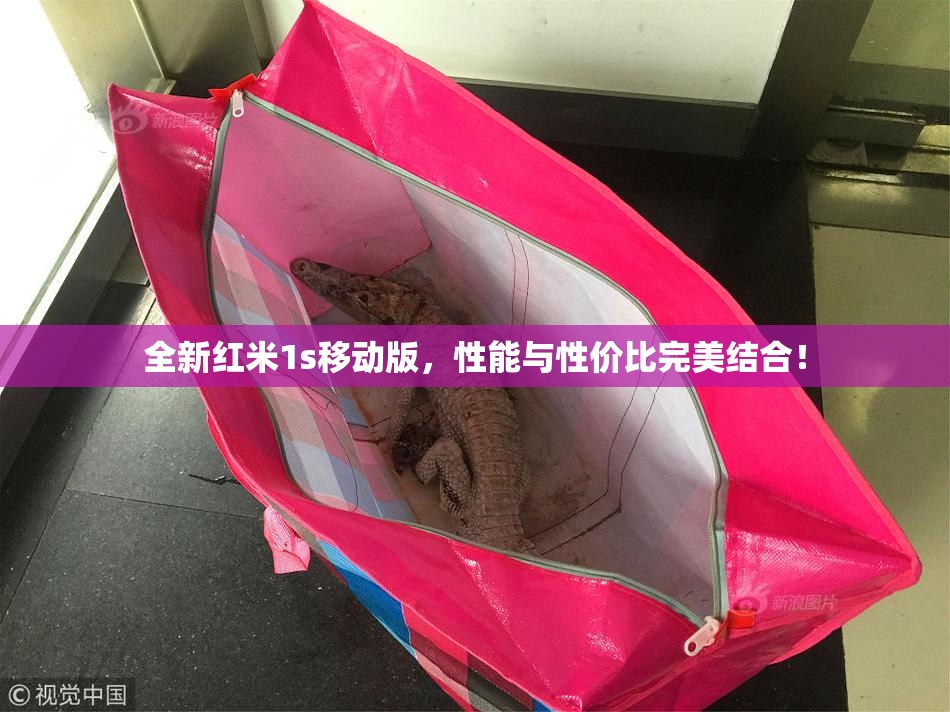 全新红米1s移动版，性能与性价比完美结合！
