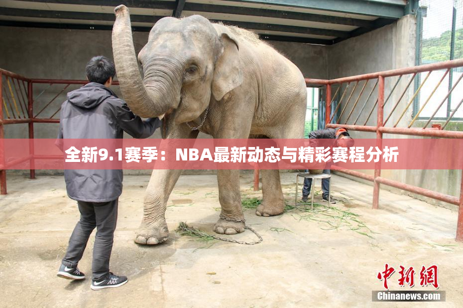 全新9.1赛季：NBA最新动态与精彩赛程分析
