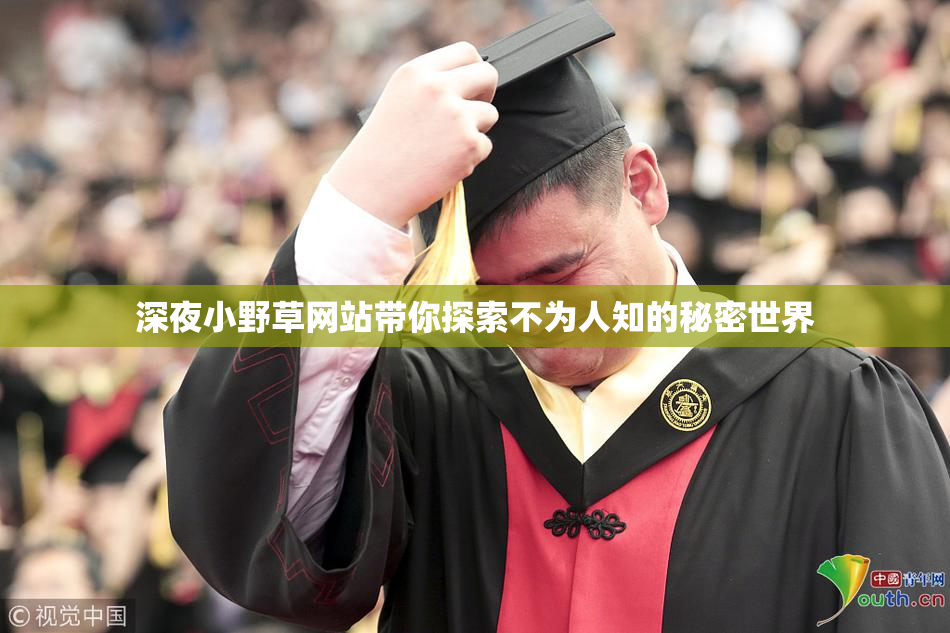 深夜小野草网站带你探索不为人知的秘密世界
