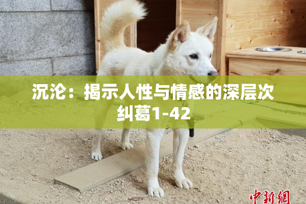 沉沦：揭示人性与情感的深层次纠葛1-42