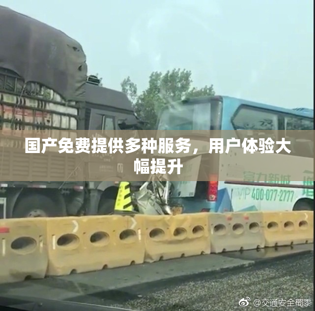 国产免费提供多种服务，用户体验大幅提升
