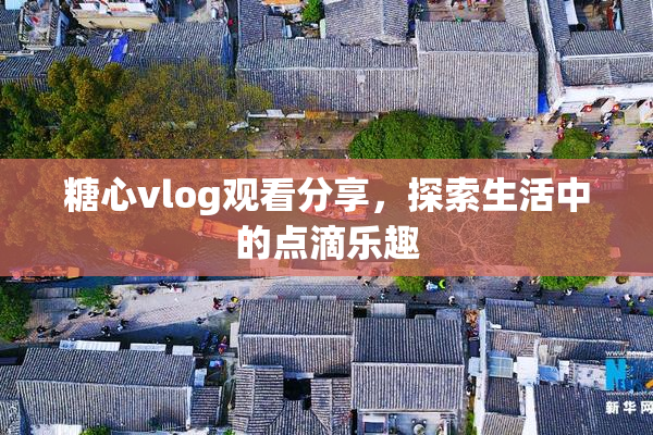 糖心vlog观看分享，探索生活中的点滴乐趣