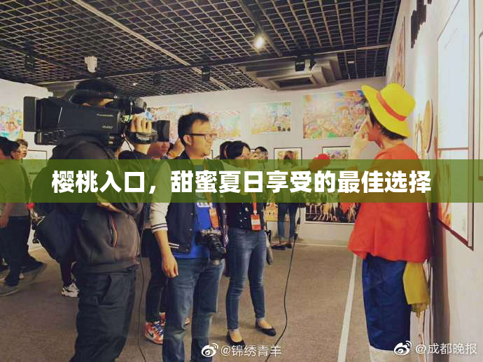 樱桃入口，甜蜜夏日享受的最佳选择