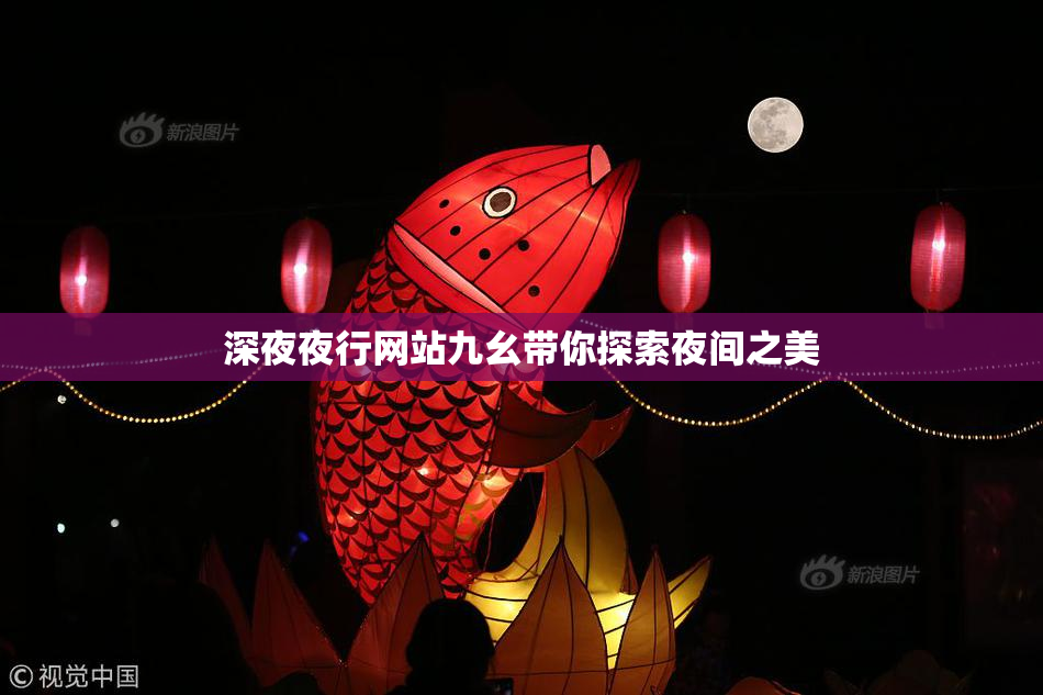 深夜夜行网站九幺带你探索夜间之美