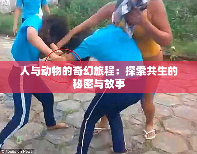 人与动物的奇幻旅程：探索共生的秘密与故事
