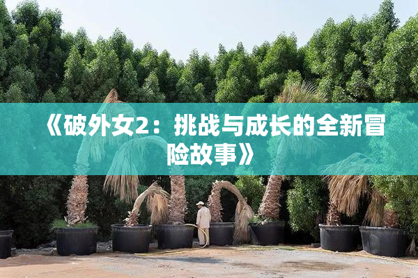 《破外女2：挑战与成长的全新冒险故事》