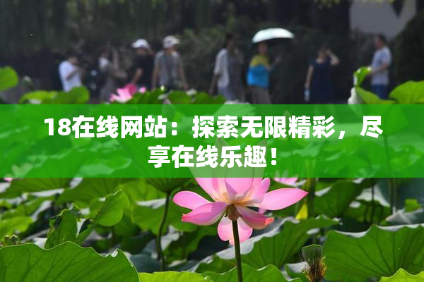 18在线网站：探索无限精彩，尽享在线乐趣！