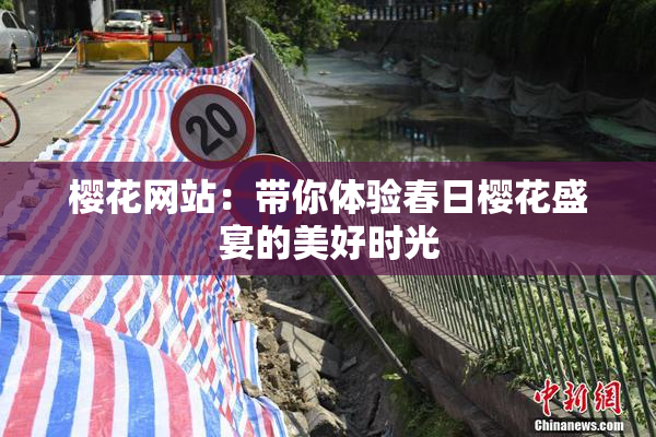 樱花网站：带你体验春日樱花盛宴的美好时光