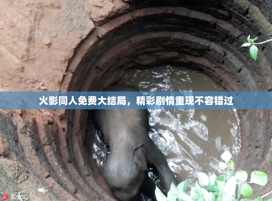 火影同人免费大结局，精彩剧情重现不容错过