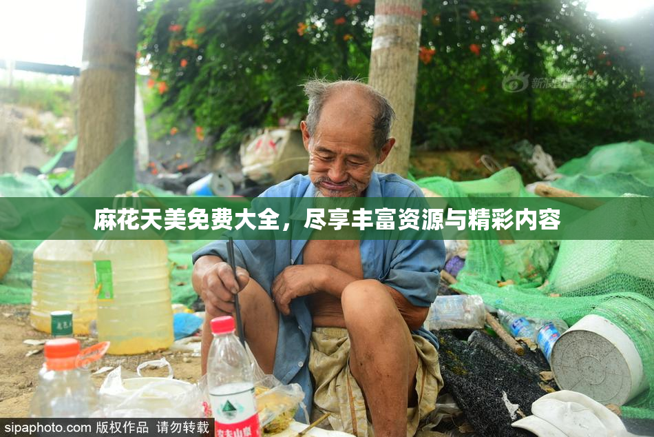 麻花天美免费大全，尽享丰富资源与精彩内容