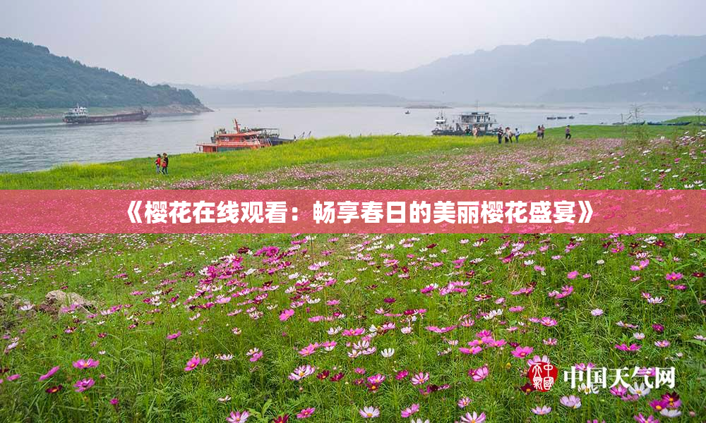 《樱花在线观看：畅享春日的美丽樱花盛宴》
