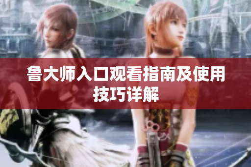 鲁大师入口观看指南及使用技巧详解