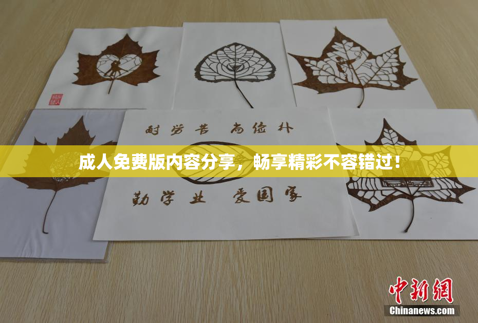 成人免费版内容分享，畅享精彩不容错过！