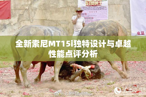 全新索尼MT15i独特设计与卓越性能点评分析