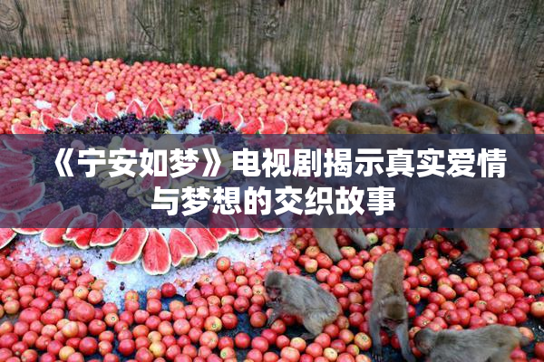 《宁安如梦》电视剧揭示真实爱情与梦想的交织故事