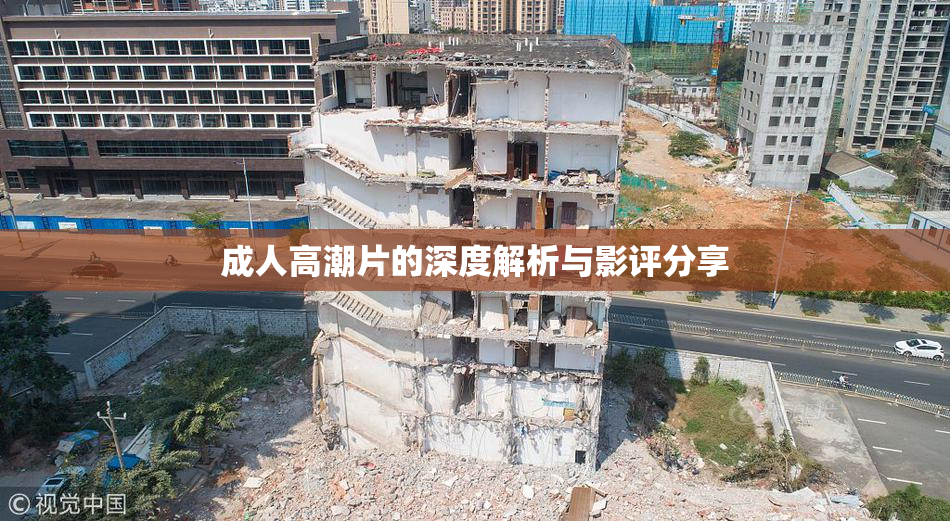 成人高潮片的深度解析与影评分享