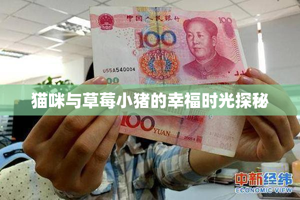 猫咪与草莓小猪的幸福时光探秘